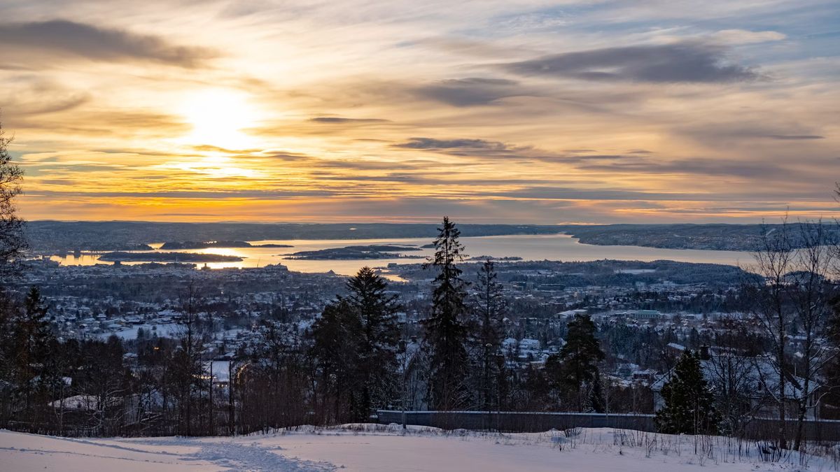 Winterlicher Blick über verschneite Bäume auf den Oslofjord bei tief stehender Sonne